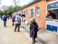 EL160424-157 - Emma Lavelle stable visit
